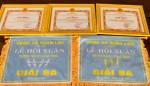 TRƯỜNG TIỂU HỌC KIM ĐỒNG XUẤT SẮC ĐẠT GIẢI NHẤT TOÀN ĐOÀN TẠI LỄ HỘI ĐÓN XUÂN XÃ XUÂN LỘC
